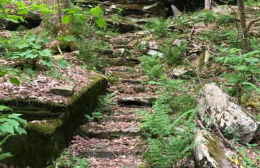 Blue Knob Bear Den (Nordic Center/Golf Course) - Foto 21