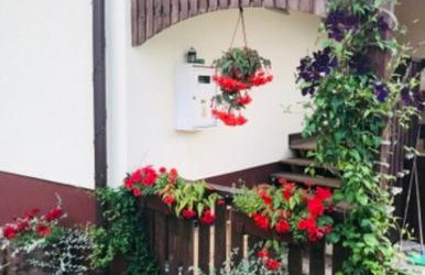 AGROTURYSTYKA DOR-Ali u Ali - Foto 17