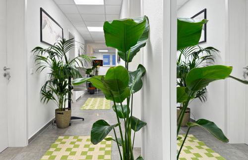 Gruppenfreundl Komfort Apt für 18 im Zentrum Stuttgarts - Foto 13