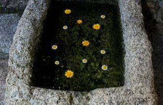 QUINTA do SOUTO BARCIADEMERA - Foto 47