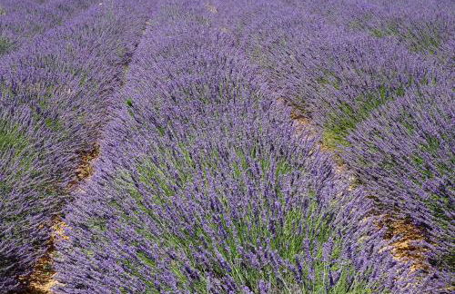 Appartement T2 Cosy sur Aix - Foto 23