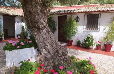 Casa Abanto - Photo 6