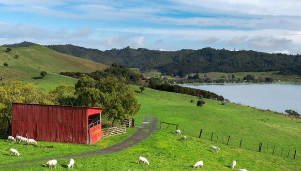 Os animais de fazenda