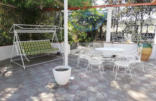 Wild Paradise - Foto 16