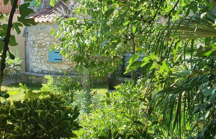 Villa Kažun with private pool and two gardens - Foto 7