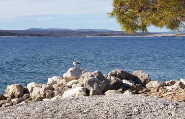 Apartman Ruzica Crikvenica - Foto 17