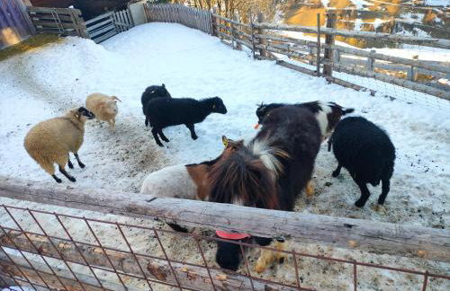 Innertrein - Photo 51