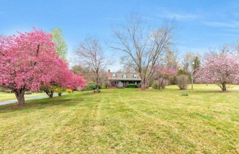 Family and Pet Friendly Retreat with Sauna, Firepit, Pond Views Near Route 151 Wineries - Foto 28