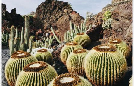 Beach House - Photo 27