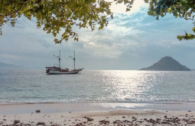 Samara II Liveaboard - Foto 41