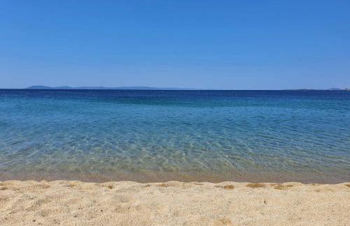 TORONI ALPHA STUDIOS - Foto 66