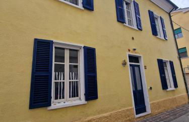 Stella di mare - Foto 1