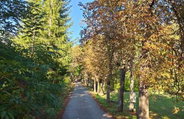 Villa Delalo - Foto 9