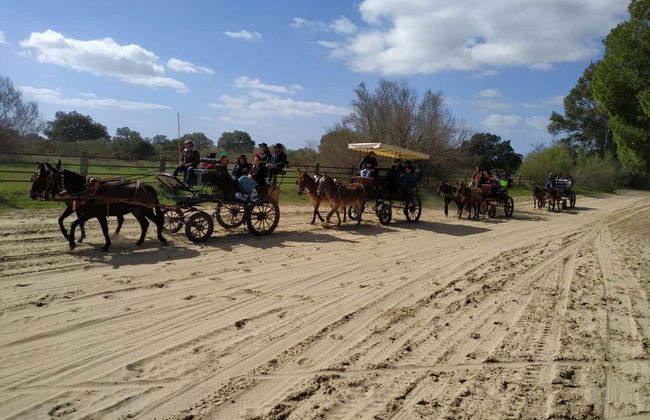 Tour in Almonte - Photo 1