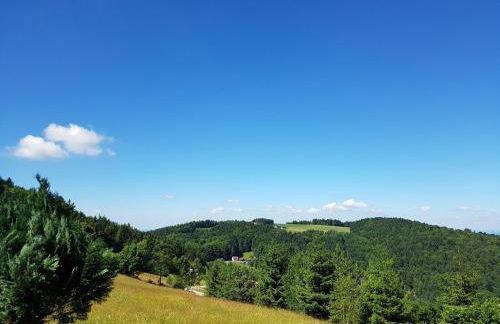 Ferienhaus im Bayerischen Wald - Foto 29