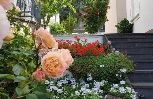 Gartenstudio Anila - Foto 26