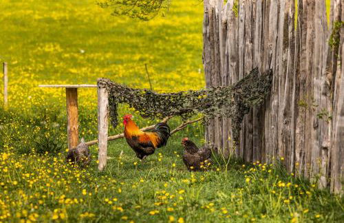 Ferienwohnungen am Gablerhof - Foto 42