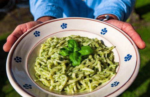 Olivenere agriturismo - Foto 21