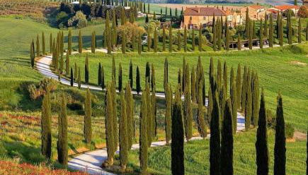 Agriturismo Baccoleno - Foto 2