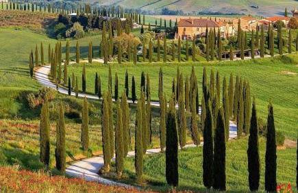 Agriturismo Baccoleno - Foto 2