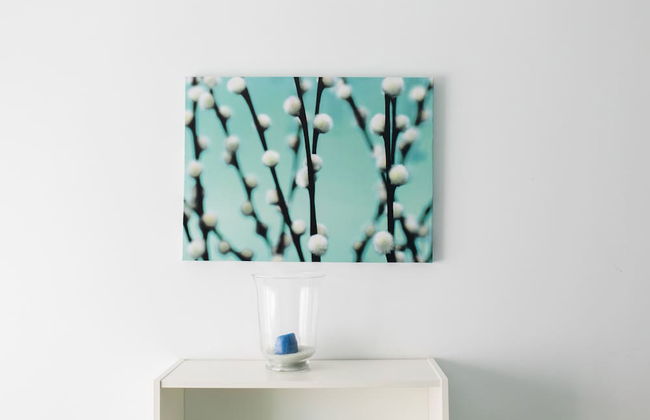 Estudios Sierra de Francia - Foto 8