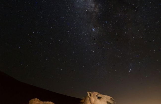 Moon life in Wadi Rum - Photo 8