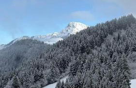 Appartement 8 personnes à Le Biot - Foto 3
