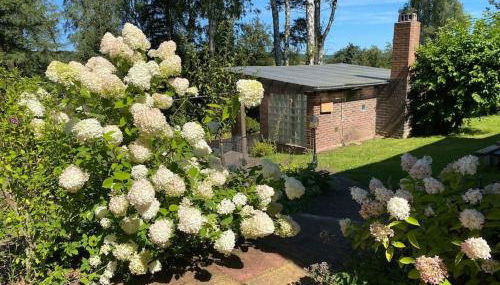 Spessart Hygge - Foto 1