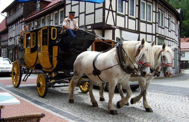 Living in the old Granary - Foto 36