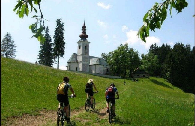 Apartmaji Koželj - Foto 15