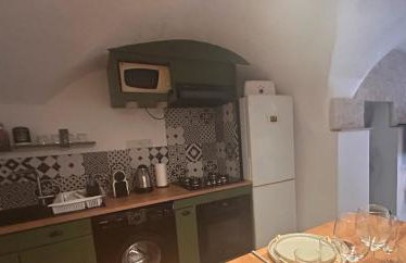 Magnolia duplex - Photo 24