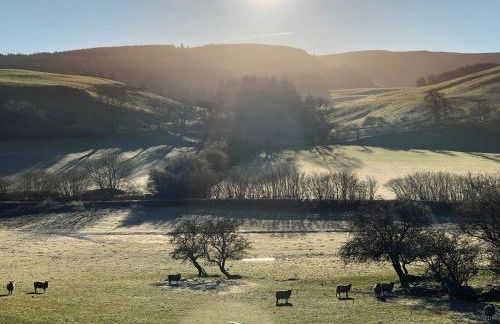 Drovers Retreat - Photo 51