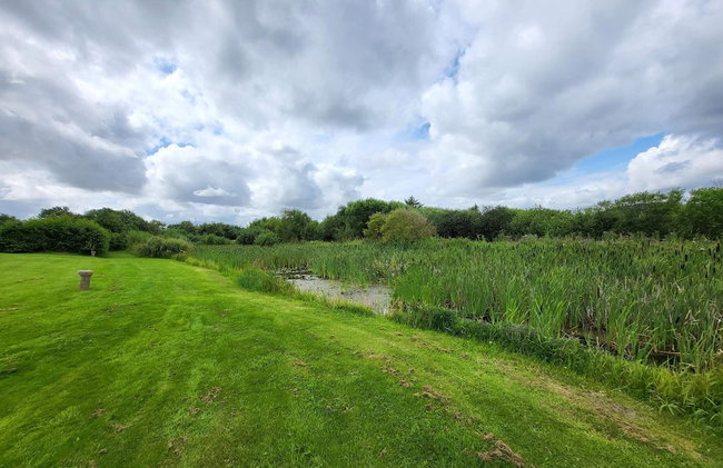 5 Person Holiday Home in Vinderup-by Traum - Photo 15