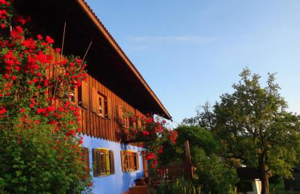 Blumenoase Allgäu - Foto 4