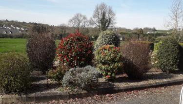 Aunt Mollie's Cottage - Foto 3