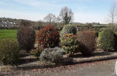 Aunt Mollie's Cottage - Foto 3