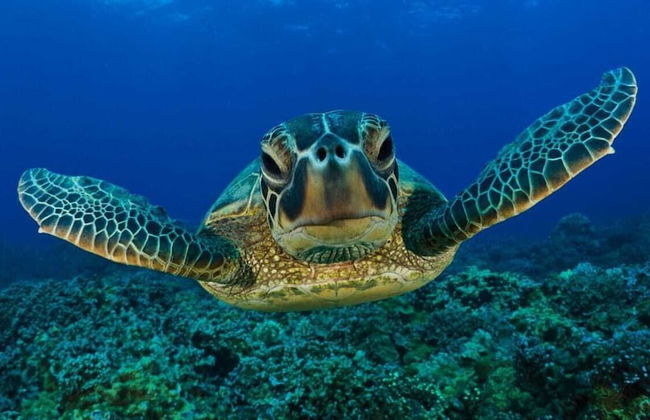 Casa Quinta da Margem - Photo 40