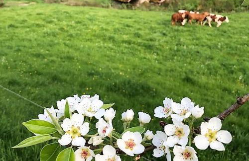 Waldbauernhof - Photo 32