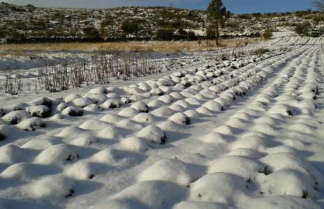 Casa do Arco - Casa de Campo - Foto 78