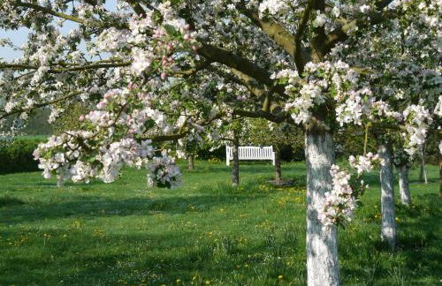 Historisches Haus Uhlenhorst - Foto 40