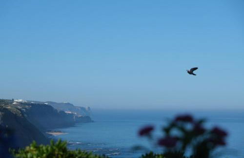 Mega Ocean Magoito - Sintra - Foto 51