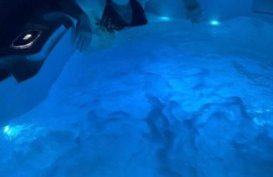 Sardinia SeaBreeze Villa IUN R2178 - Photo 31