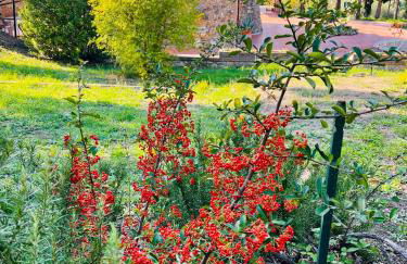 Casale Delle Querce farmhouse in Giove Umbria with pool - Foto 78