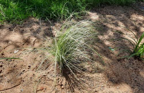 Ferien im Fischerhaus - Photo 29