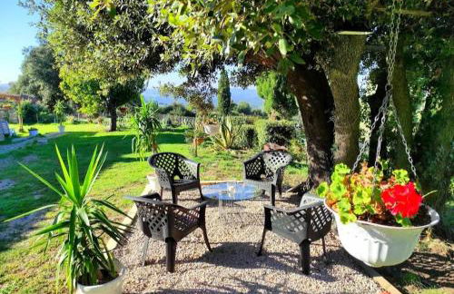 Agriturismo Podere Le Palaie - Foto 34