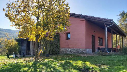 The Strawhouse under the mountain - Foto 3