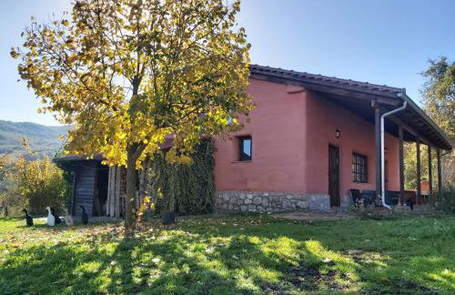 The Strawhouse under the mountain - Foto 3