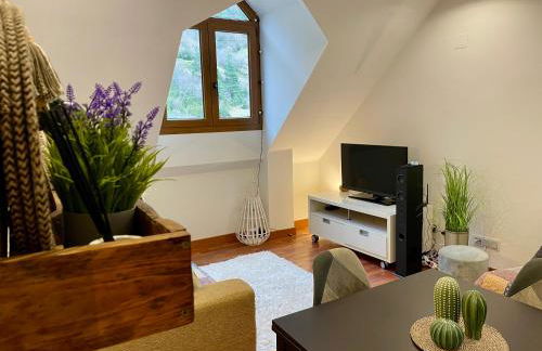 CALMFRANC ático abuhardillado con vistas al río y la montaña Avistamiento de ciervos en Canfranc Pueblo - Foto 6