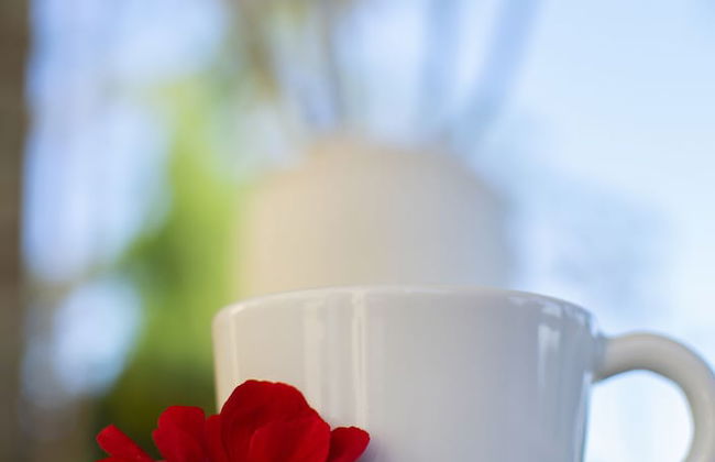 La Finestra sul Colle - Foto 24