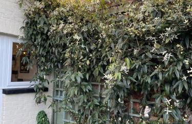 Beautiful 3 bedroom house close to Lowestofts south beach - Foto 25